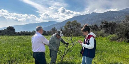Bozdoğan İlçe Tarım ve Orman Müdürlüğü ekipleri ilek bahçesinde bakım yaptı