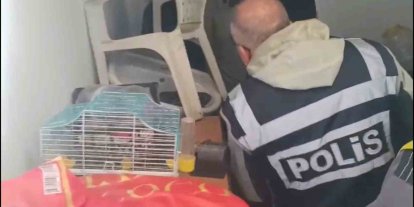 Yabancı turistlerin kredi kartlarını kötü amaçlı kullanan 4 şüpheli yakalandı