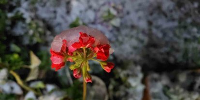 Denizli’de baharda yağan lapa lapa kar araçları yolda bıraktı