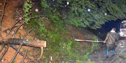 Yağış ağaçları devirdi, yol kısa sürede açıldı