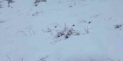 Mart sonunda Karıncalı Dağ’da kar sürprizi