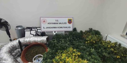 Jandarmadan uyuşturucu operasyonu: 1 gözaltı