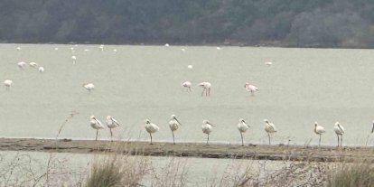 Eceabat Kaymakamı Kerem Yenigün’den Suvla Bölgesinde Doğa İncelemesi