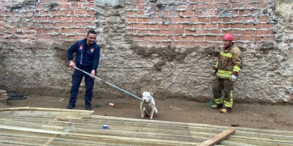 Kapalı inşaat çukuruna düşen köpeği itfaiye kurtardı