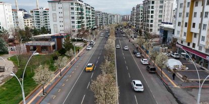 Bulvarlar süs armutlarıyla görsel şölene dönüştü