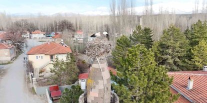 Şıhbarak mahallesinde baharın müjdecisi leylekler yuvalarına döndü