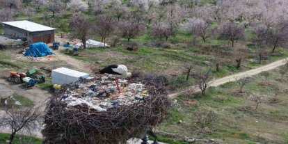 Sadık misafir leylek 10 yıldır yolunu şaşırmıyor