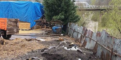 Dereye hayvansal atık bırakan çiftlikler yakalandı