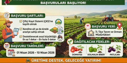 Siirt Tarım ve Orman Müdürlüğünden sebze fidesi başvurusu uyarısı