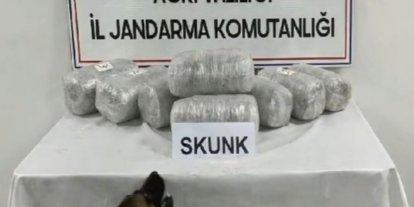 Ağrı’da 10 kilogram skunk ele geçirildi, 1 şüpheli tutuklandı
