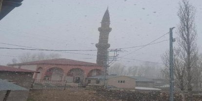 Diyadin’de nisan karı