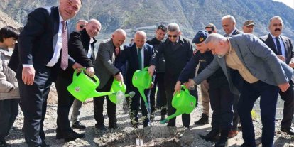 Artvin’de 450 Butko zeytini fidanı toprakla buluşturuldu