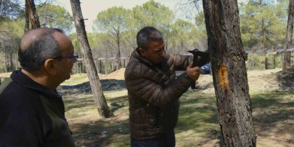 Kahramanmaraş’ta orman zararlılarına karşı mücadele sahada incelendi