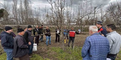 Kütahya’da meyve üreticilerine budama ve aşılama eğitimi