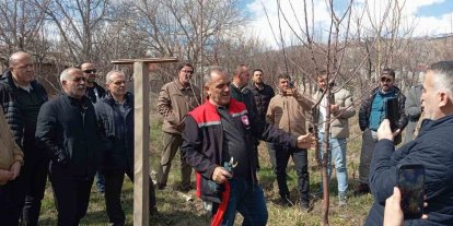 Erzincan’da çiftçilere budama eğitimi verildi