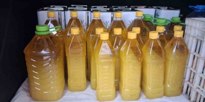 Şarköy zeytinyağına coğrafi işaret