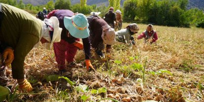 Tarım yatırımlarına yüzde 70’e varan hibe desteği