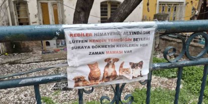 Hayvanseverlerin ilginç yazısı: "Kediler himayemiz altındadır"