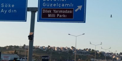 Kuşadası’nda leylekler geri döndü