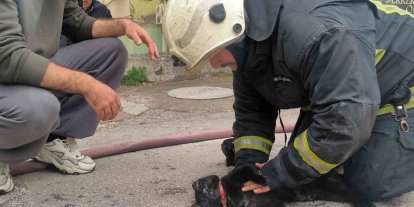 İtfaiye eri yangında dumandan etkilenen kediyi kalp masajı ile hayata döndürdü