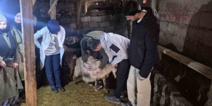 Özalp’te çiftçilere yönelik eğitim seferberliği başlatıldı