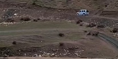 Siirt’te sağanak yağış hayvancılığı olumsuz etkiledi