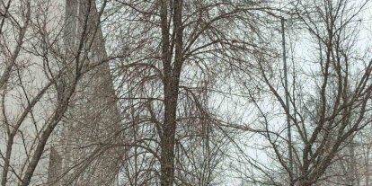 Bahar gelmeden kış geri döndü; Diyadin’e kar sürprizi