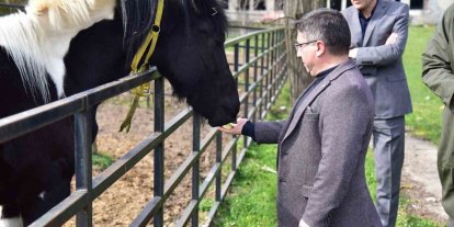 İlk tüp tay Balat 2 yaşında