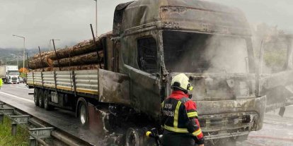 Tomruk yüklü tır alev topuna döndü