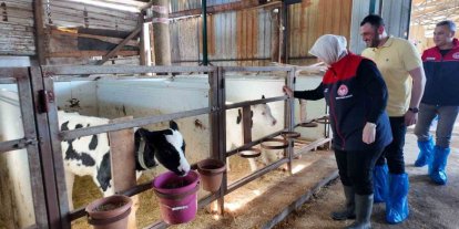 Düzce’de ari işletme sayısı artıyor