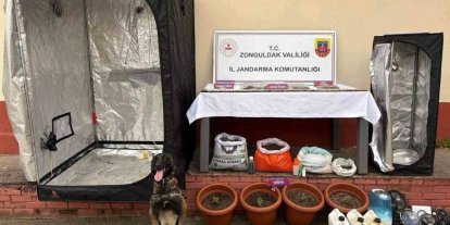 Zonguldak’ta jandarmanın uyuşturucu operasyonunda 2 şüpheli tutuklandı