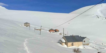Bayburt’ta ayı saldırılarının yaşandığı yaylada ulaşım sorunu sürüyor