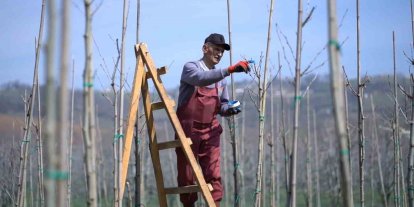 Kestel’de bahar mesaisi