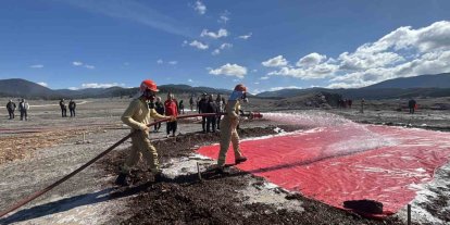 Bolu en hızlı ormancılarını seçiyor