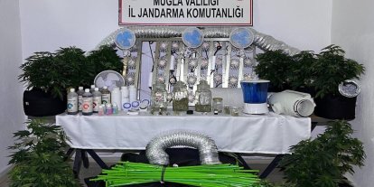 Muğla Jandarmasından zehir tacirlerine Mart ayı darbesi: 173 gözaltı