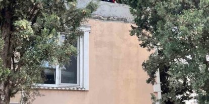 Defne’de ağaçta mahsur kalan kediyi itfaiye kurtardı