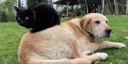 Düzce’de yılın ilk çeyreğinde 531,9 ton ihraç edildi