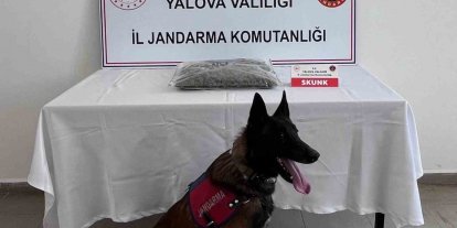 Yalova’da uyuşturucu operasyonunda 1 tutuklama