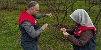 Fındık üreticilerine "kozalak akarı" ve "külleme" uyarısı