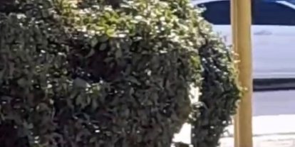 Çocuk parkı içinde sigara içen çocuklar kamerada