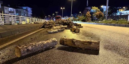 Seyir halindeki kamyonun damperi aniden kalktı, odunlar yola döküldü