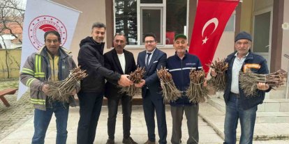 Emet’te 35 üreticiye 980 adet üzüm fidanı dağıtıldı