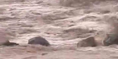 Siverek’te sağanak yağış sele neden oldu