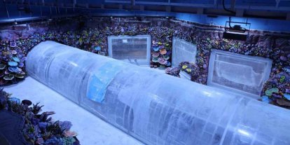 Kocaeli’de su altında dünya turu başlıyor: 30 farklı akvaryumla eşsiz gezi