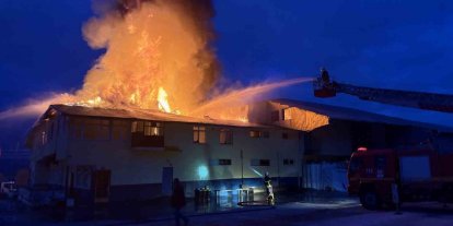 Kastamonu’da fabrika yangını