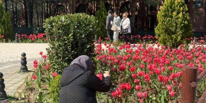 İstanbul’da lale zamanı başladı, Pendik Korusu’nda renk cümbüşü yaşandı