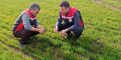 Tomarza’da zirai don uyarısı sonrası saha kontrolleri devam ediyor