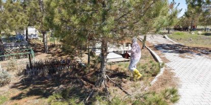 Kahramanmaraş’ta mezarlıklarda yenileme başladı