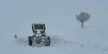 Muş’ta 55 köy yolu kapandı