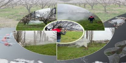 Kars’ta zirai don alarmı! Ekipler sahada, üreticiye kritik uyarı